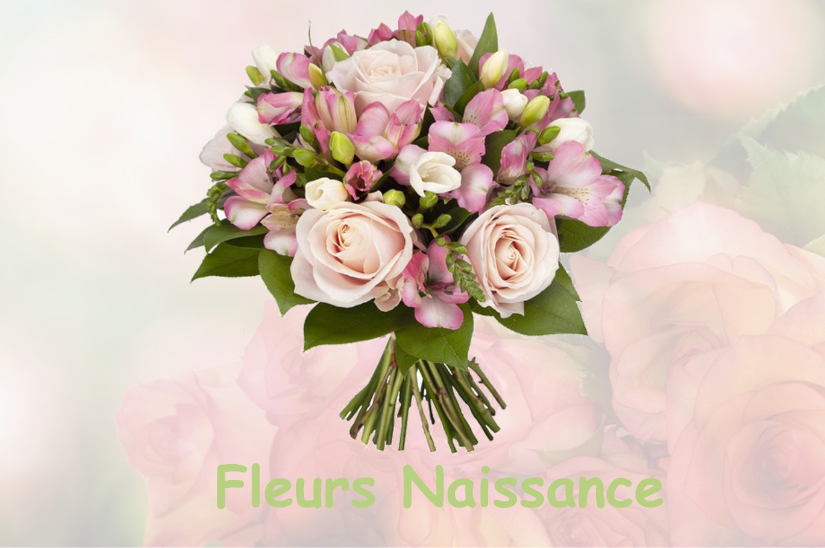 fleurs naissance BRANCOURT-EN-LAONNOIS