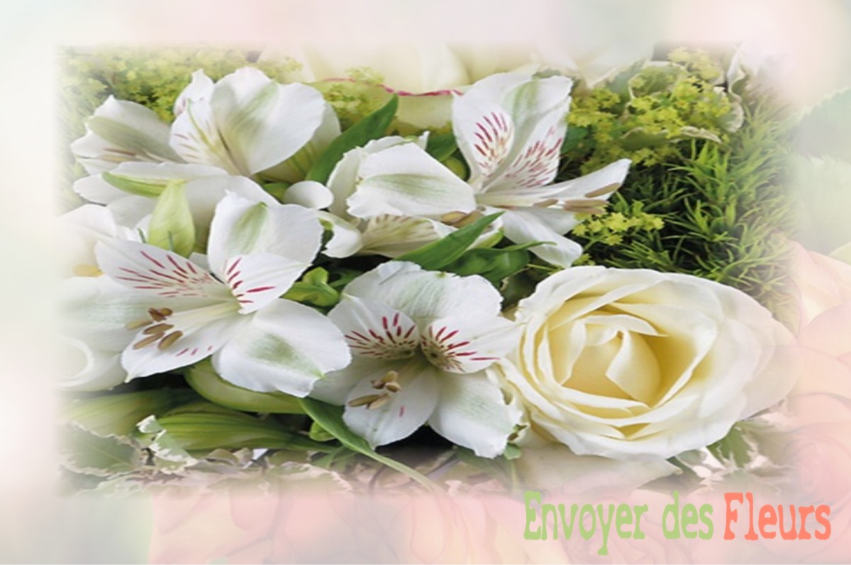 envoyer des fleurs à à BRANCOURT-EN-LAONNOIS