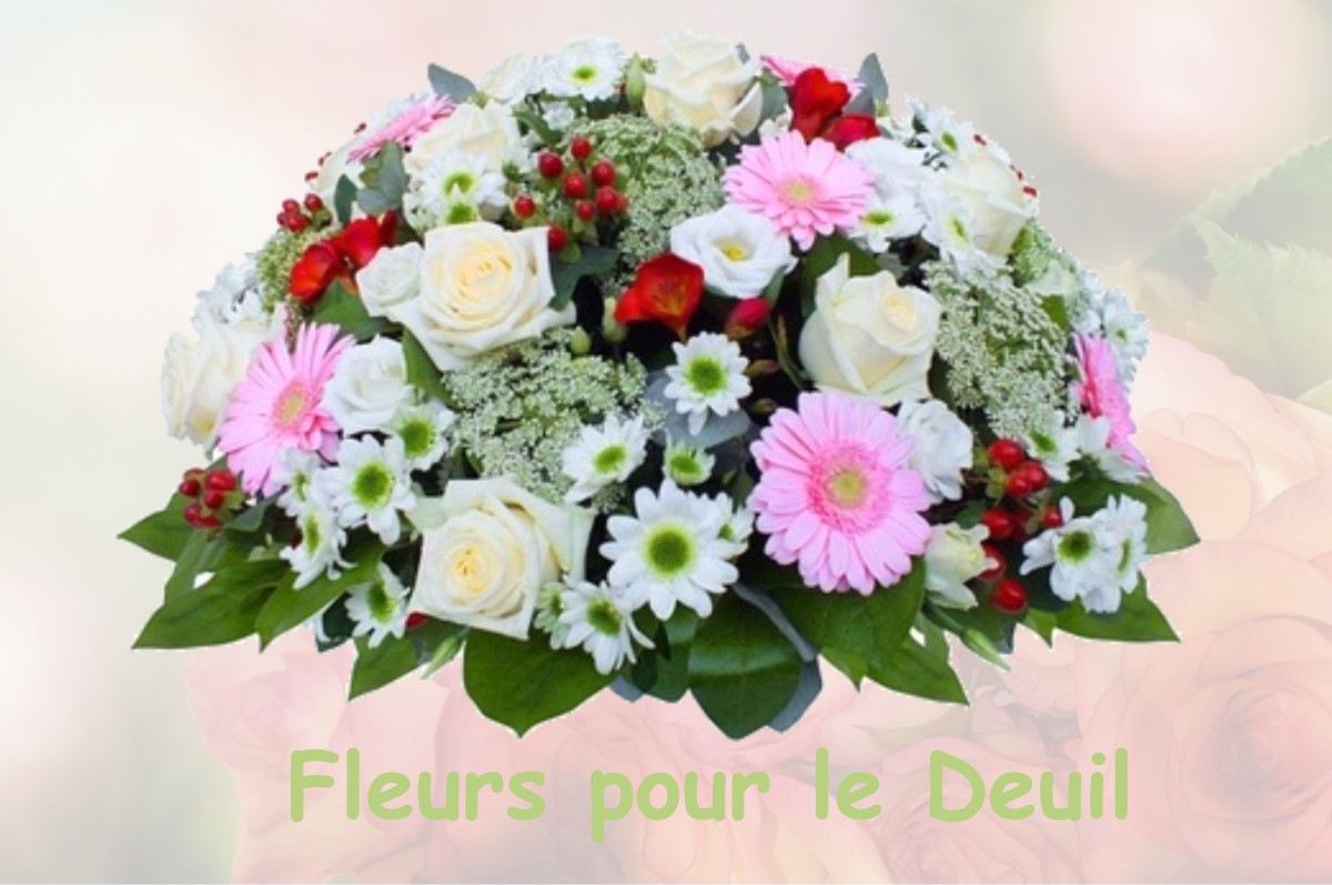 fleurs deuil BRANCOURT-EN-LAONNOIS